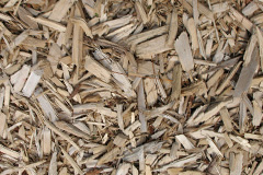 biomass boilers Ascreavie