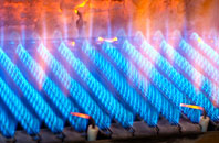 Ascreavie gas fired boilers